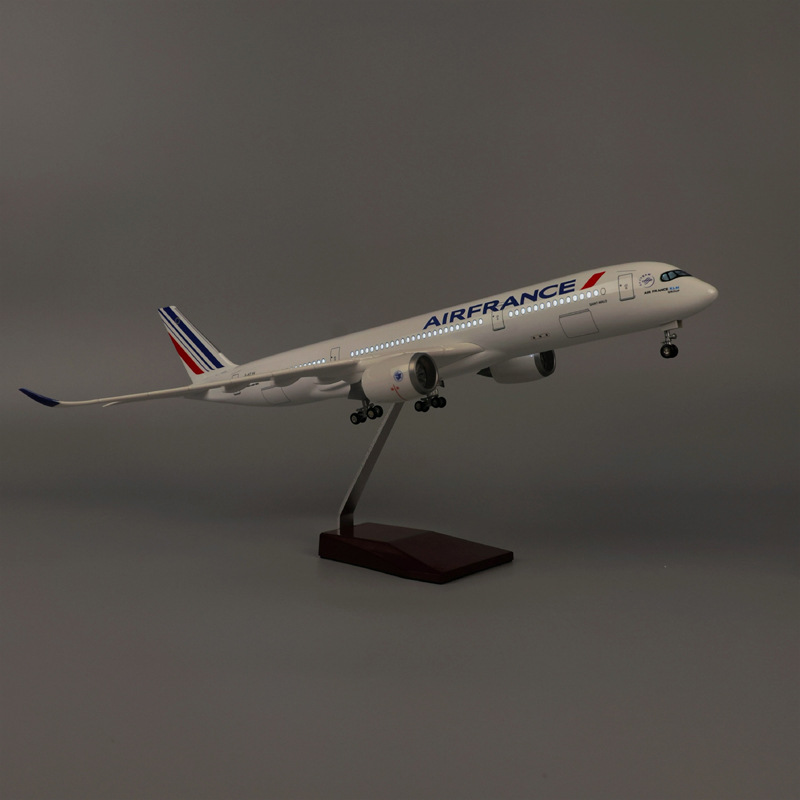 Pesawat Model Air France A350  - Model Kit Instructions ulasan dan harga